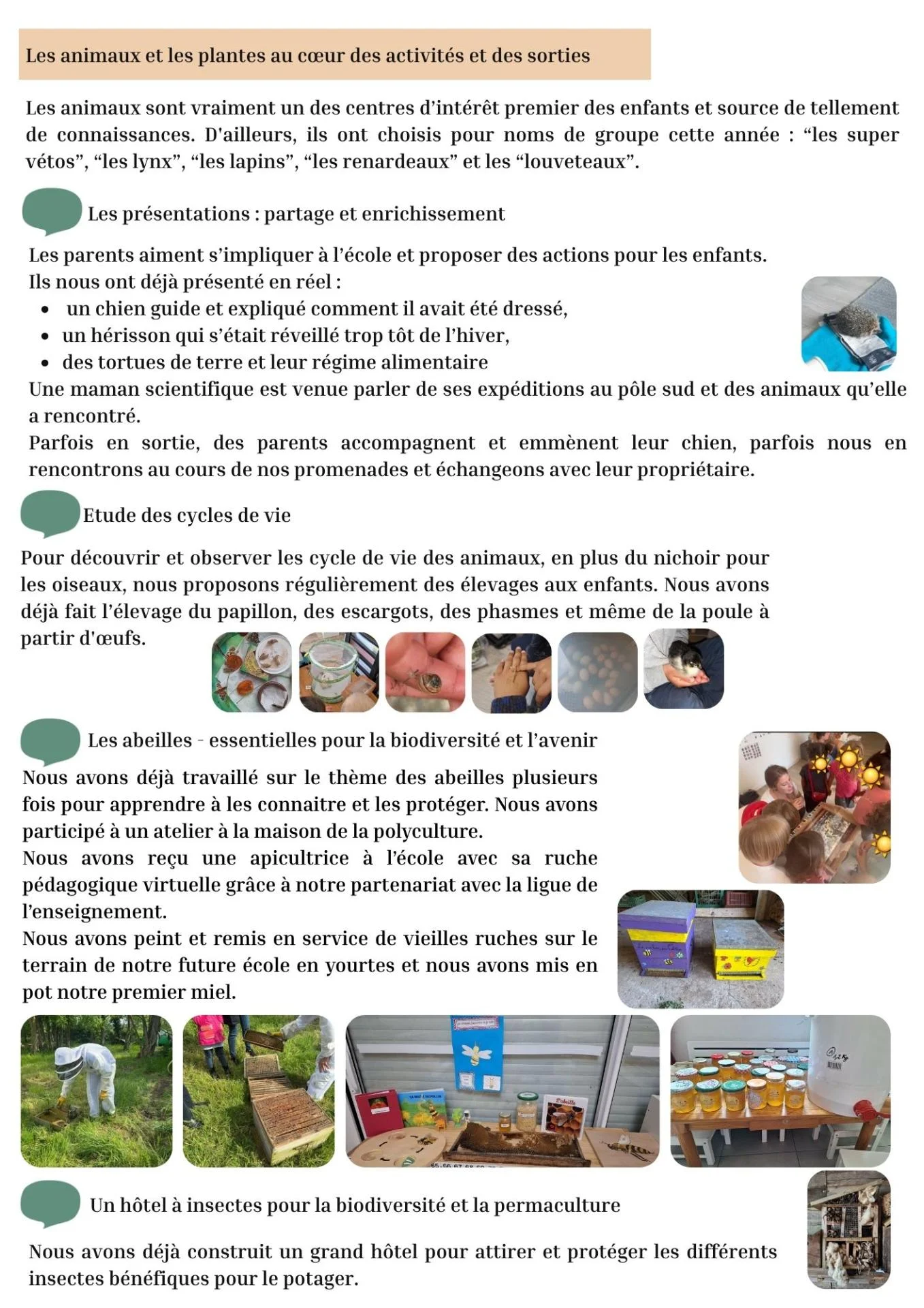 Etincelle 6
