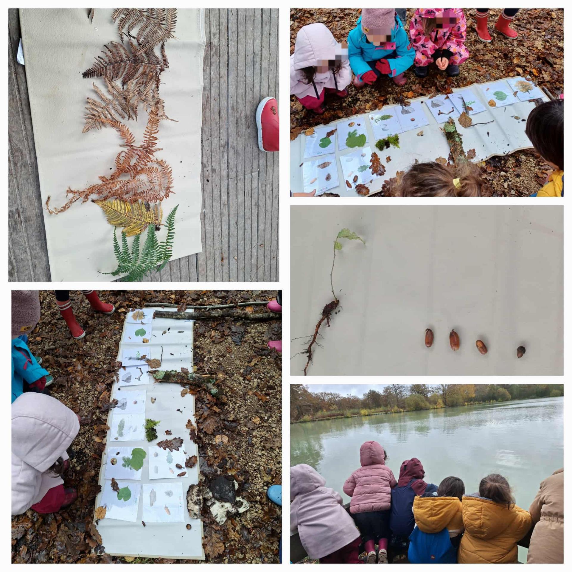 Ecole dehors automne bis 1