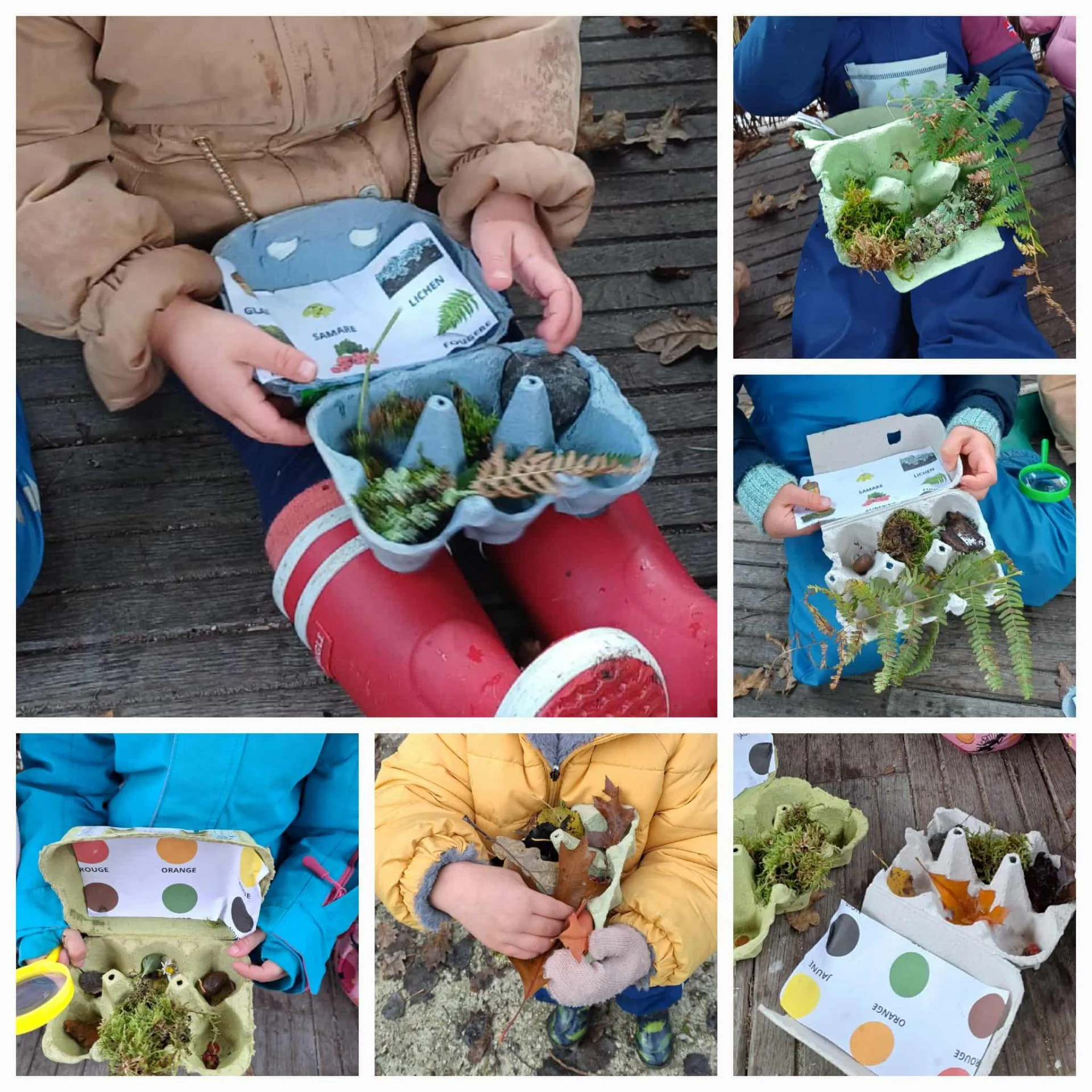 Ecole dehors automne