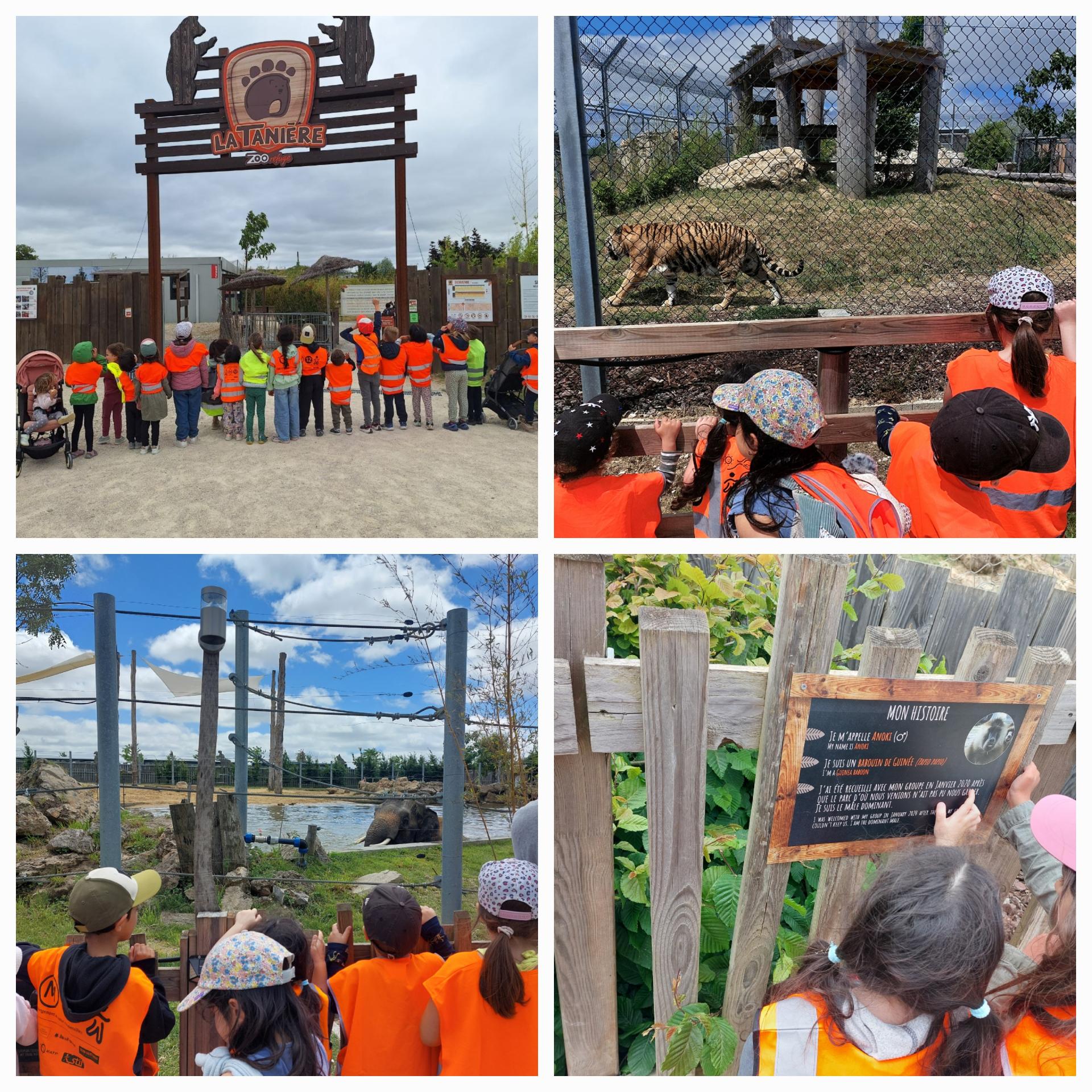 Zoo de la tanie re